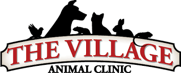 village animal clinic