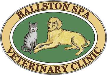 Ballston spa vet clinic