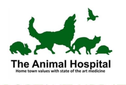 Screen Shot 2024-03-29 at 5.43.06 PM