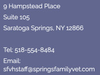 Screen Shot 2024-03-29 at 6.24.52 PM