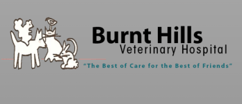 Screen Shot 2024-03-29 at 6.28.23 PM