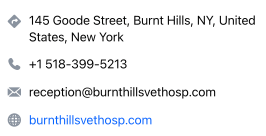 Screen Shot 2024-03-29 at 6.29.21 PM