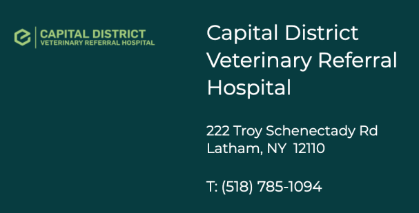 Screen Shot 2024-03-29 at 6.33.45 PM